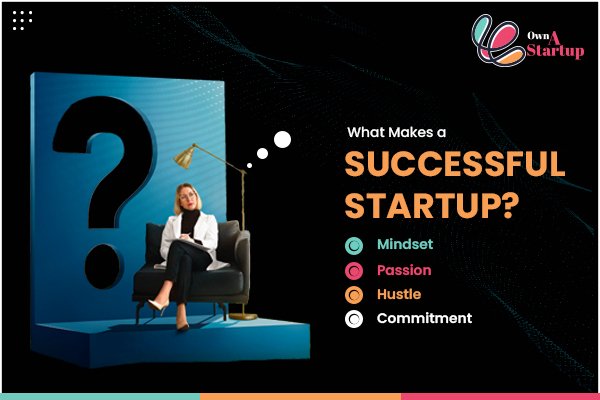 What Makes a Successful Startup?